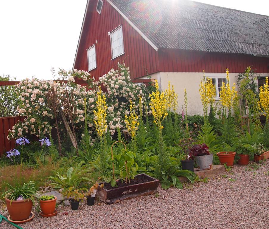 Augustas Bed & Breakfast Panzió Falkenberg Kültér fotó