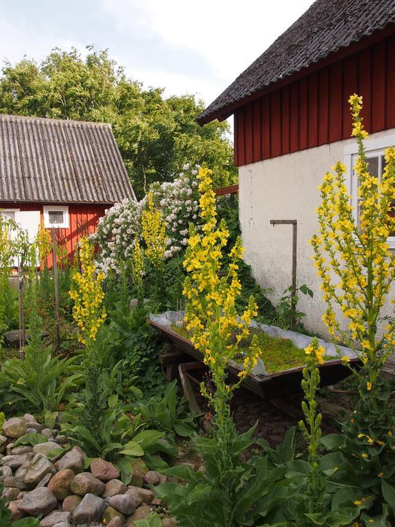 Augustas Bed & Breakfast Panzió Falkenberg Kültér fotó