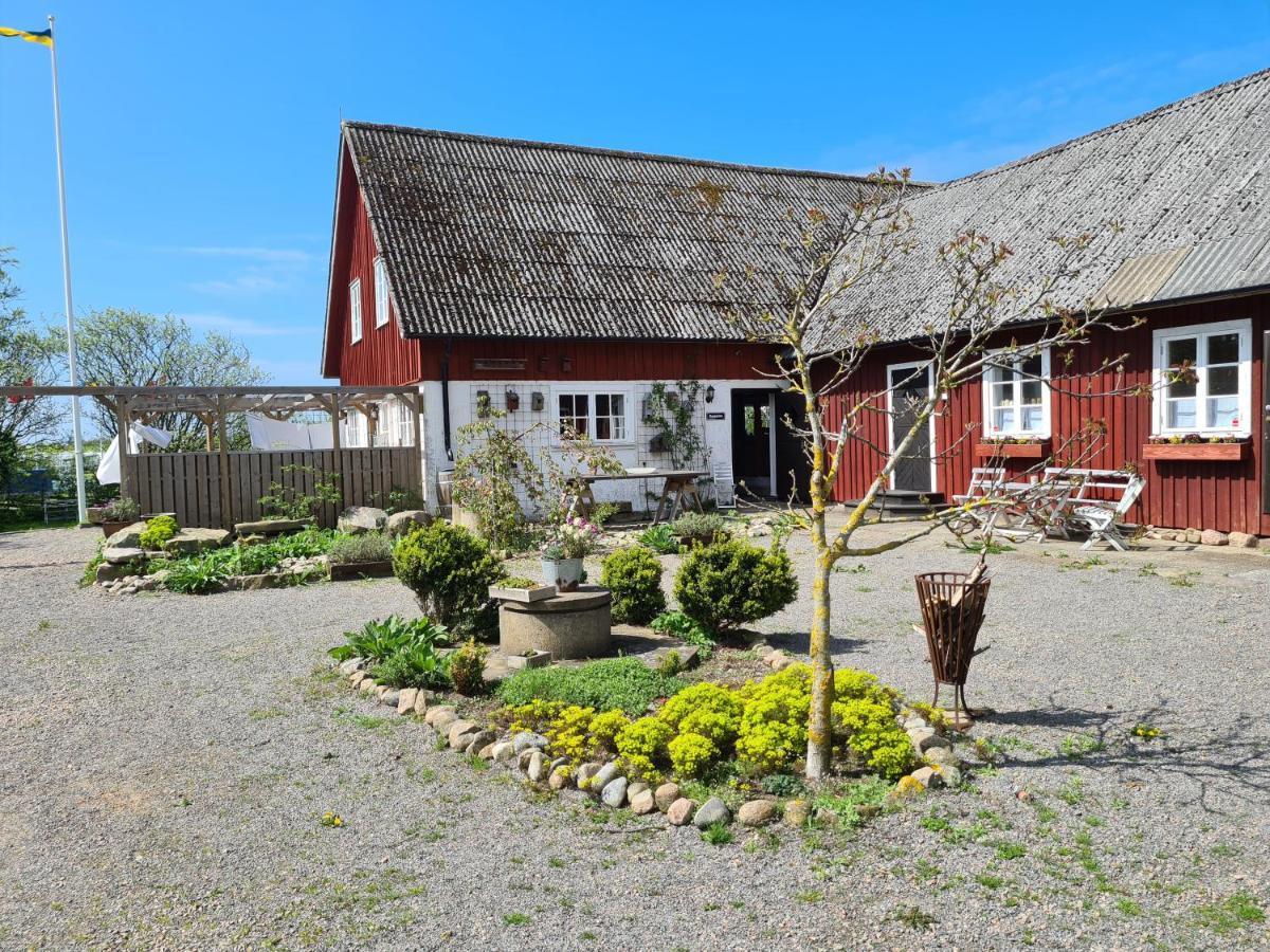 Augustas Bed & Breakfast Panzió Falkenberg Kültér fotó